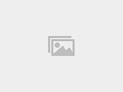 Fundamentos de ServiceNow para usuarios, agentes y aprobadores